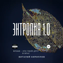 Энтропия 1.0, Виталий Кириллов