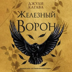 Железный ворон, аудиокнига . ISDN71259622