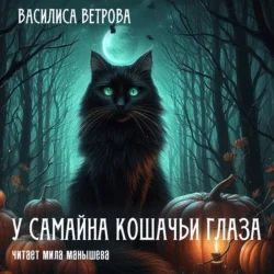 У Самайна кошачьи глаза - Василиса Ветрова У Самайна кошачьи глаза - Василиса Ветрова