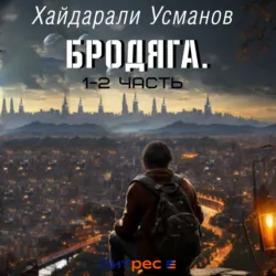 Бродяга. Сборник 1 – 2 часть - Хайдарали Усманов
