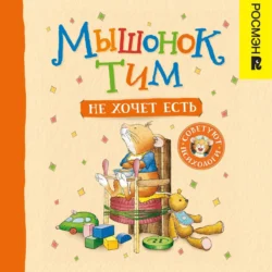Мышонок Тим не хочет есть, аудиокнига Анны Казалис. ISDN71309539