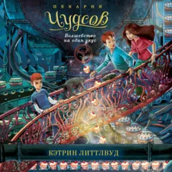 Пекарня Чудсов. Волшебство на один укус, Кэтрин Литтлвуд