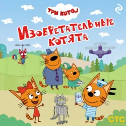 Три кота. Изобретательные котята - Коллектив авторов