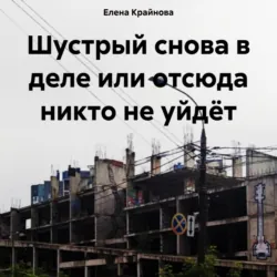 Шустрый снова в деле или отсюда никто не уйдёт - Елена Крайнова