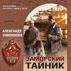 Заморский тайник - Александр Тамоников