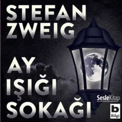 Ay Işığı Sokağı - Стефан Цвейг