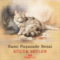 SERGÜZEŞT,  аудиокнига. ISDN70400356