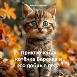 Приключения котёнка Барсика и его добрые дела Юлия Калистратова