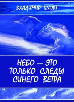 Небо – это только следы синего ветра, Владимир Шали