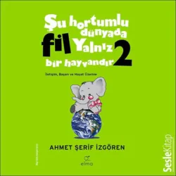 Süpermen Türk Olsaydı Pelerinini Annesi Bağlardı,  аудиокнига. ISDN71442796