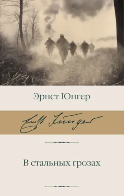 В стальных грозах - Эрнст Юнгер