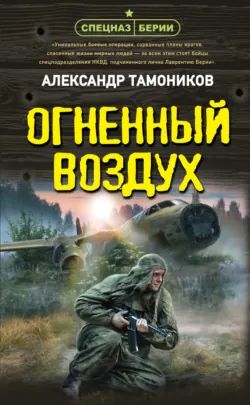 Огненный воздух - Александр Тамоников