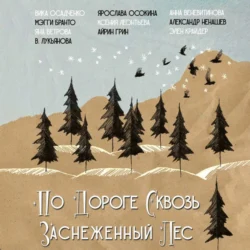 По дороге сквозь заснеженнный лес Ярослава Осокина и Яна Ветрова