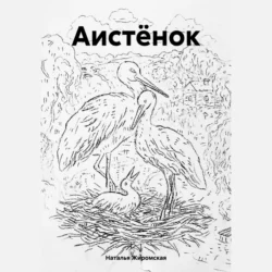 Аистёнок Наталья Жиромская
