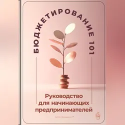 Бюджетирование 101: Руководство для начинающих предпринимателей - Артем Демиденко