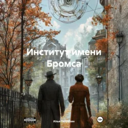 Институт имени Бромса, Илья Петрухин