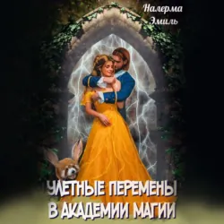 Улетные перемены в Академии Магии - Налерма Эмиль
