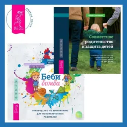 Беби-бомба. Руководство по выживанию для новоиспеченных родителей. Совместное родительство и защита детей: руководство по теории привязанности для воспитания детей на два дома, Стэн Таткин Беби-бомба. Руководство по выживанию для новоиспеченных родителей. Совместное родительство и защита детей: руководство по теории привязанности для воспитания детей на два дома, Стэн Таткин