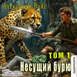 Несущий бурю. Том I, Александр Вайс