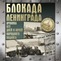 Блокада Ленинграда. Хроника 872 дней и ночей народного подвига - Андрей Сульдин