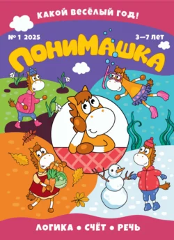 ПониМашка №01/2025, Открытые системы