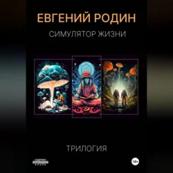 Симулятор Жизни. Трилогия Евгений Родин