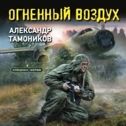 Огненный воздух, Александр Тамоников