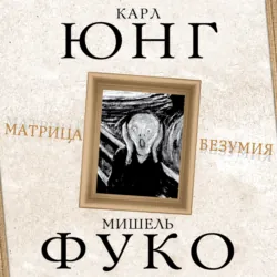 Матрица безумия (сборник) - Карл Юнг