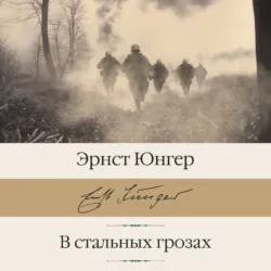 В стальных грозах - Эрнст Юнгер