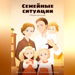 Семейные ситуации. Сборник рассказов, Виталина Мамыкина