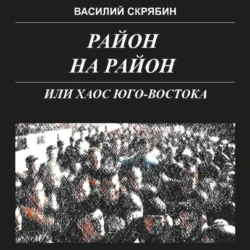 РАЙОН НА РАЙОН, или хаос юго-востока, Василий Скрябин
