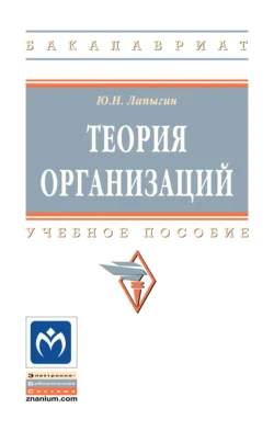 Теория организаций, Юрий Лапыгин