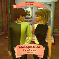 Однажды во сне, 9 лиц Элиды, Серия 29, Мечтатель Хойти-Пойти