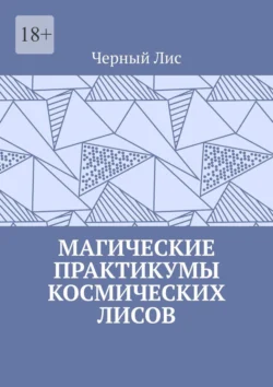 Магические практикумы космических лисов, Черный Лис