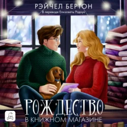 Рождество в книжном магазине Рэйчел Бертон