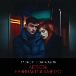 Любовь начинается в метро - Алексей Небоходов