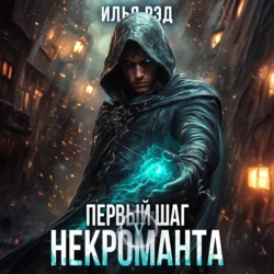 Первый шаг Некроманта. Том 5, Илья Рэд