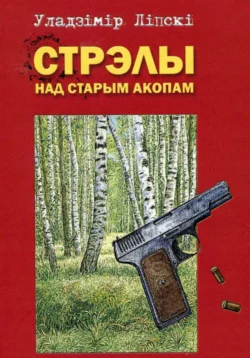 Стрэлы над старым акопом, Владимир Липский