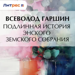 Подлинная история Энского земского собрания, Всеволод Гаршин