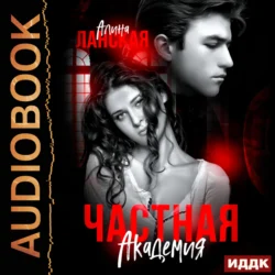 Частная Академия. Книга 2. Осколки Алина Ланская