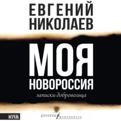 Моя Новороссия. Записки добровольца, Евгений Николаев