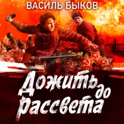 Дожить до рассвета - Василий Быков