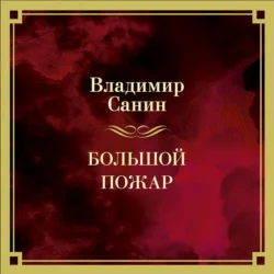 Большой пожар, Владимир Санин