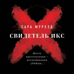 Терапия безумия, аудиокнига Сары Мурхэд. ISDN71080099