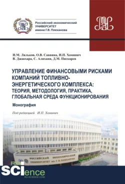 Метаэкономикс, аудиокнига Владимира Сергеевича Гродского. ISDN71165095