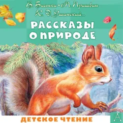 Рассказы о природе - Эдуард Шим