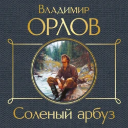 Солёный арбуз, Владимир Орлов