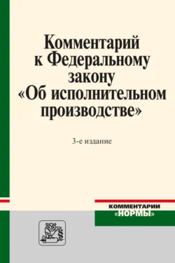 Комментарий к Федеральному закону «Об исполнительном производстве», Евгений Раздьяконов