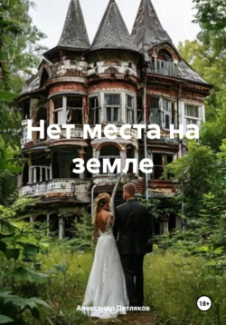 Нет места на земле Александр Петляков
