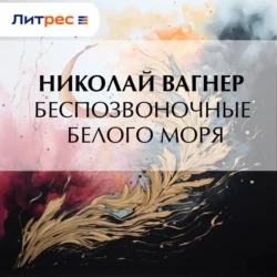 Беспозвоночные Белого моря, Николай Вагнер